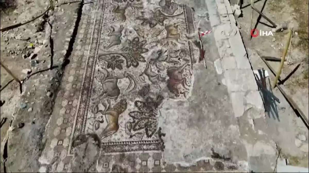 Elazığ’da Tek Parça Mozaik Bulundu: 84 Metrekarelik Tarihi Eser